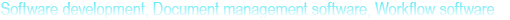Software development, Document and workflow management system